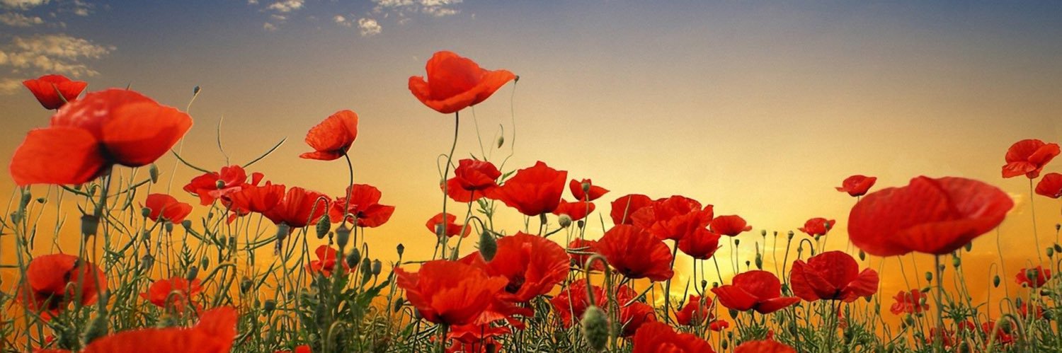 Rob munro 💙 banner