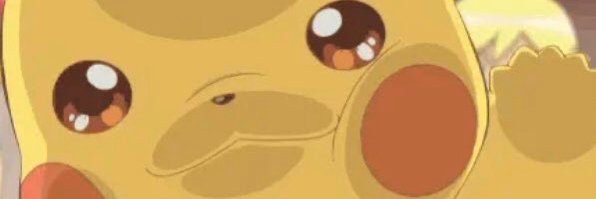 vulpz banner