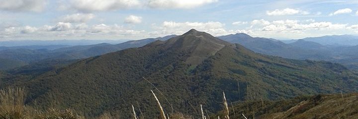 banner konta A_Zapalowski