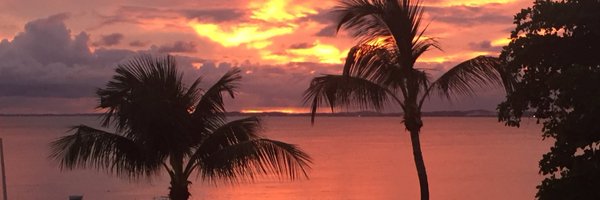 megclarks Profile Banner