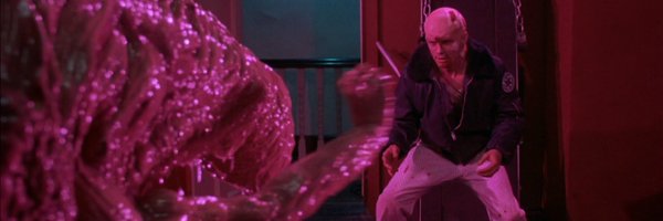 HEXLOOM Profile Banner