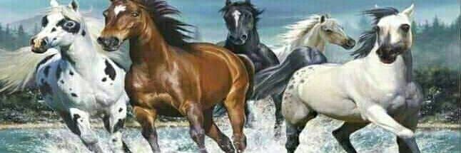 भारतीय banner