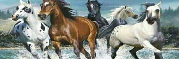 ramanswall Profile Banner