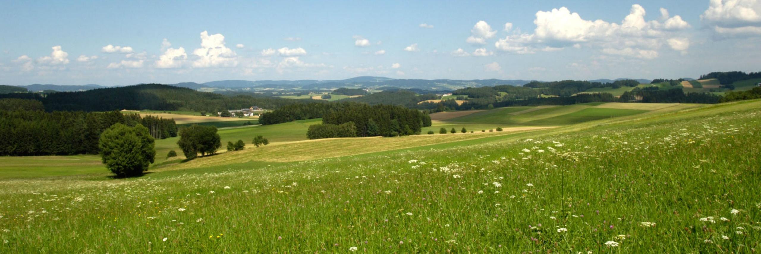 farmflo's profile banner image