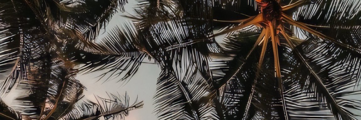 BriscoeSwipes's profile banner image