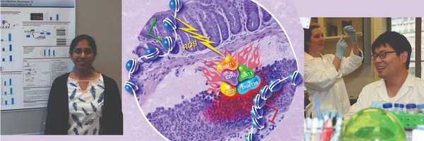 O'Hagan Lab Profile Banner