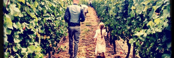 Vinteloper Profile Banner