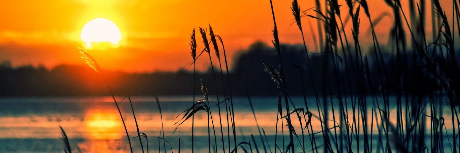 Benjamin_Wilk's profile banner image