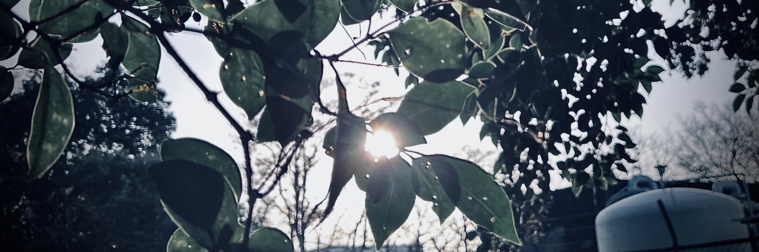 ___SA_'s profile banner image