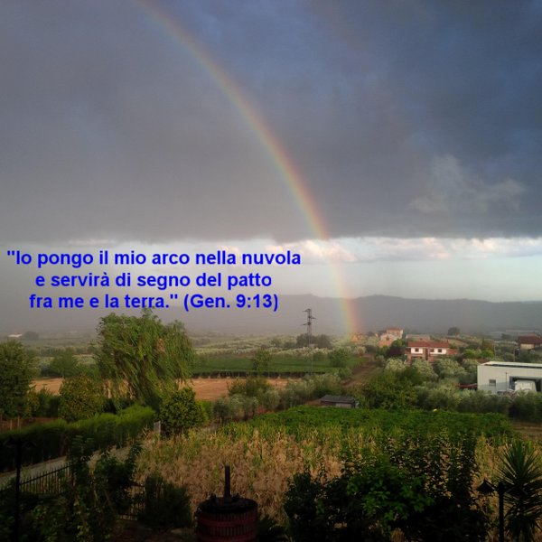 gagluca's profile banner image