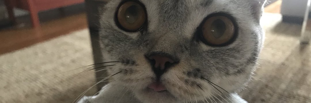 eminedemiry's profile banner image