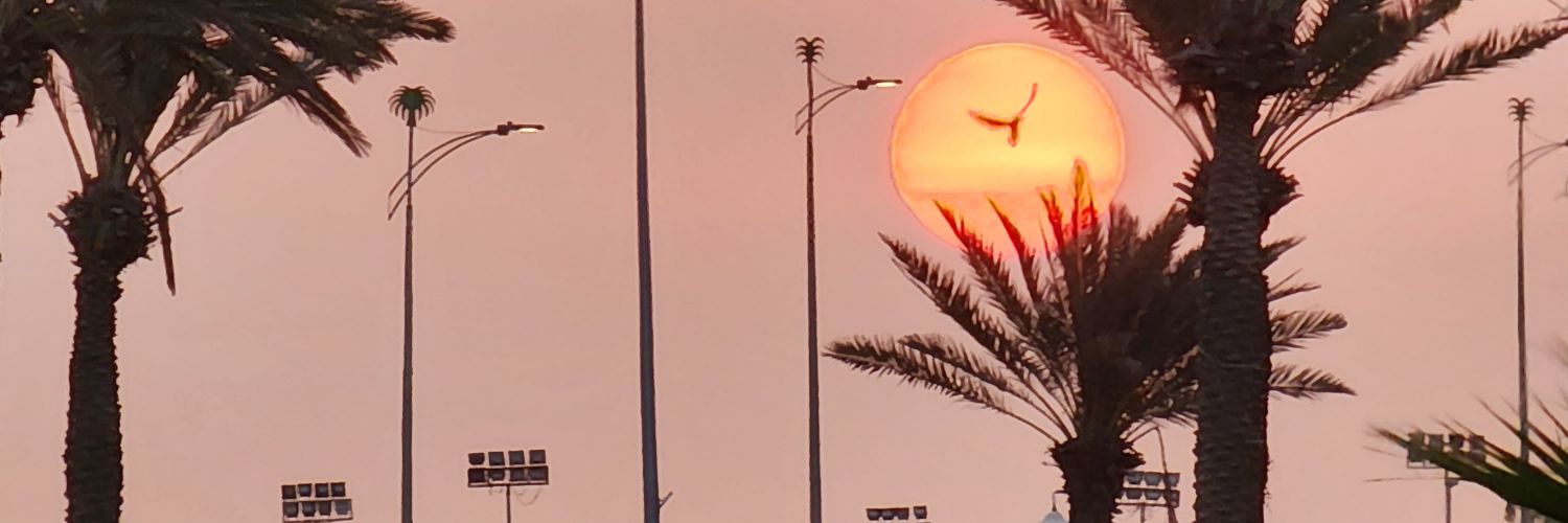 M__ll11's profile banner image