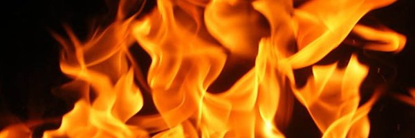 wolfris Profile Banner