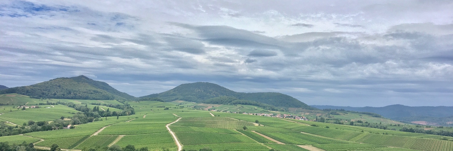 Frederik Merx banner