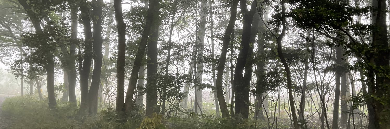 robiemyon's profile banner image