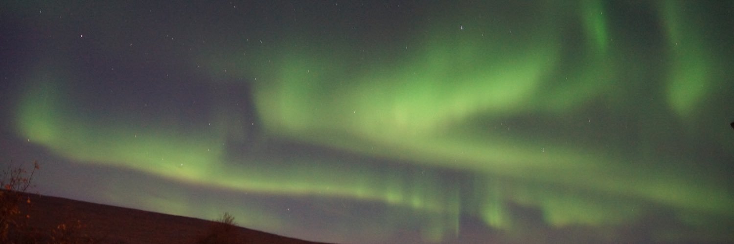 theidlebee's profile banner image