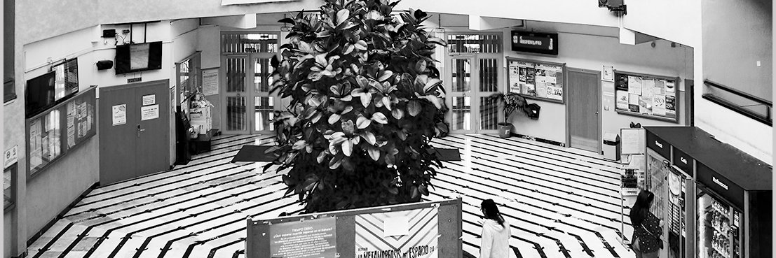 Facultad Ciencias de la Educación UGR banner