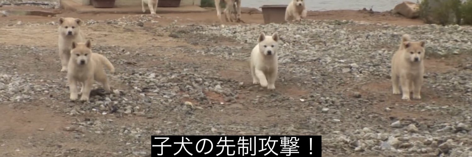 モブであれ子 banner