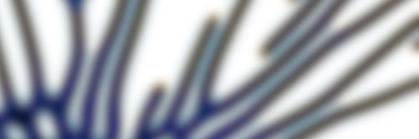 Philipp Siedler banner