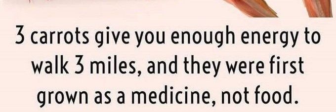 Thebiggest dog in the yard banner