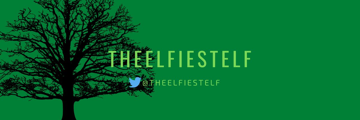 theelfiestelf's profile banner image