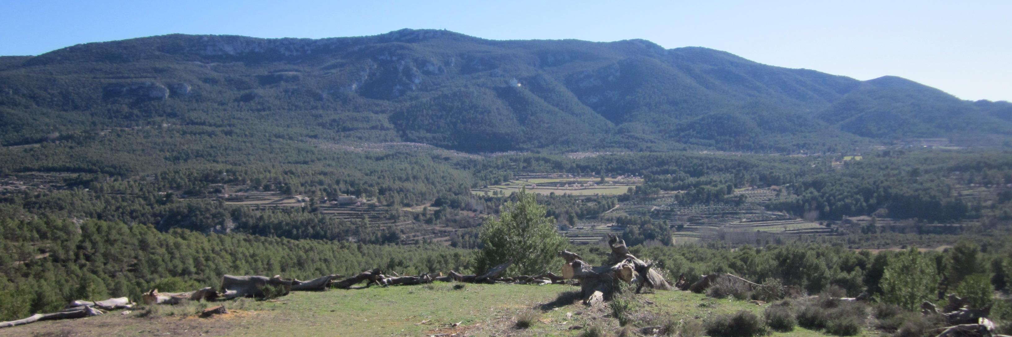 Negrez banner