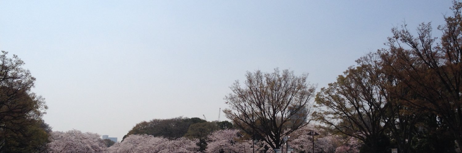 211293doratan's profile banner image