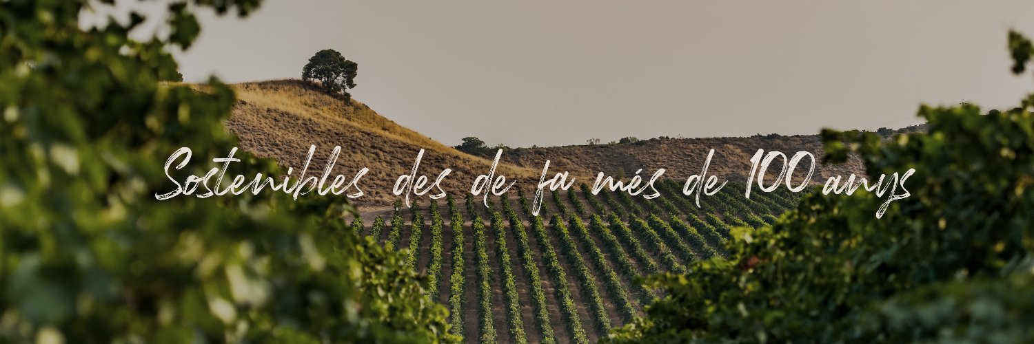 RaimatVinos's profile banner image