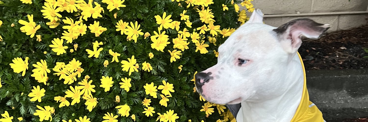 TAY👑 banner