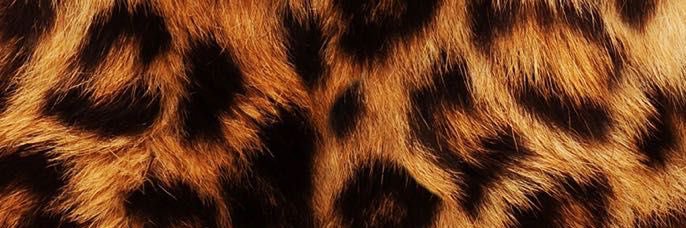 Lidya M. Djuhandar banner