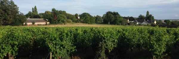 WouterSteen Profile Banner