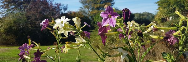 JohnathanNapie1 Profile Banner