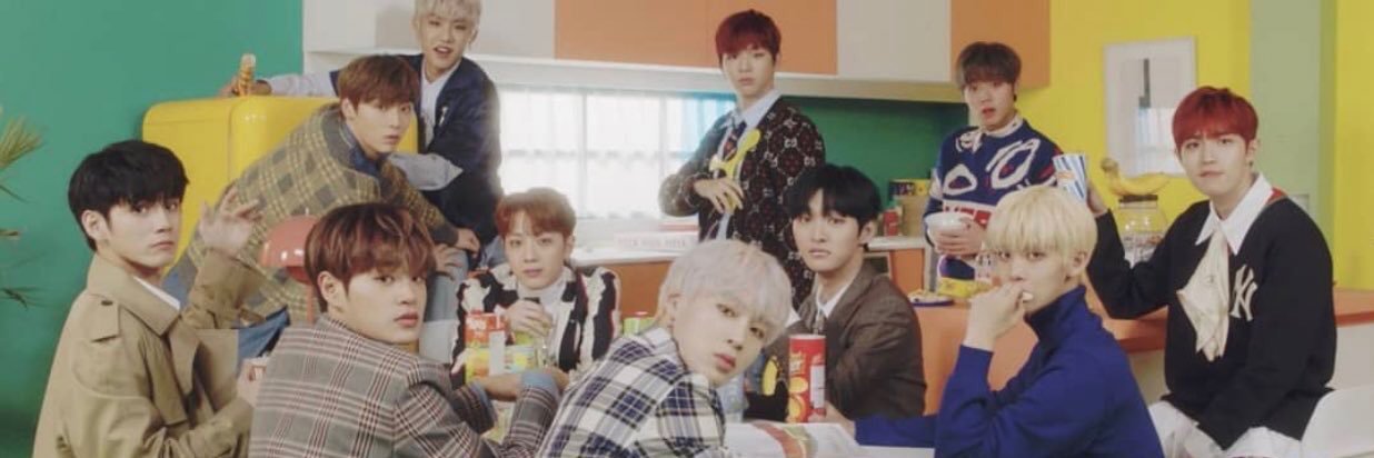 °̩͙ ₊ ᨦ ♡ ᨩ ໋₊ ·̩͙🐘 °̩͙ ₊ ᨦ ♡ ᨩ ໋₊ ·̩͙ banner