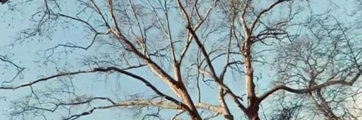 ساميه 🇰🇼 banner