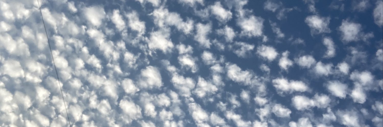 pina banner
