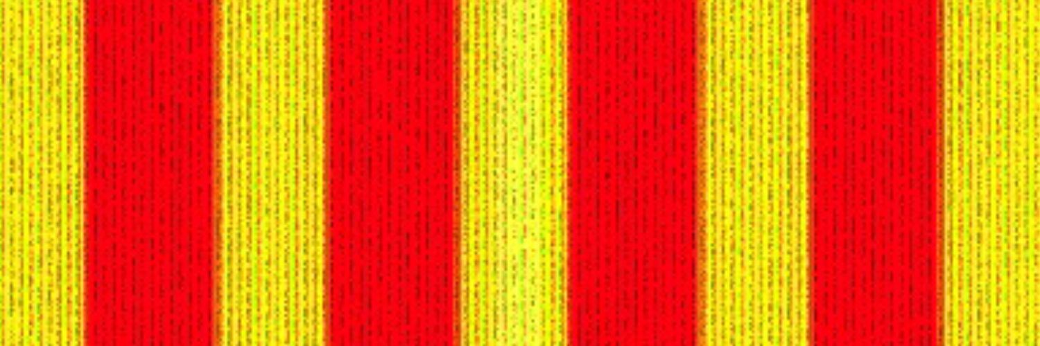 sroquevalero's profile banner image