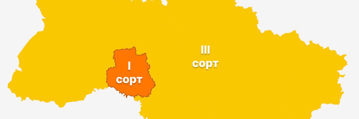 зубкотік's banner