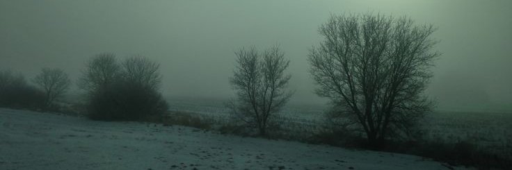 ~ jacob ~ banner
