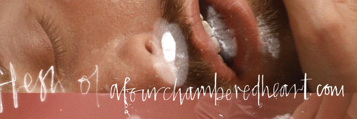 Four Chambers banner