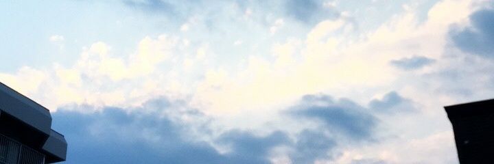 IGarlic1's profile banner image