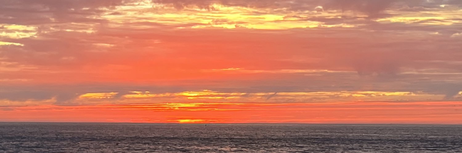 Duc de St Simon banner