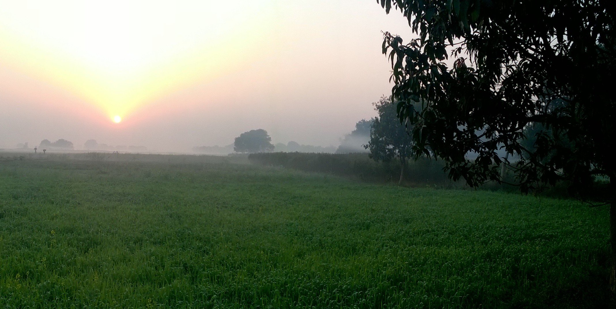 meetjitens's profile banner image