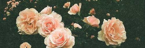 SoulOfTheTAPDIS's profile banner image