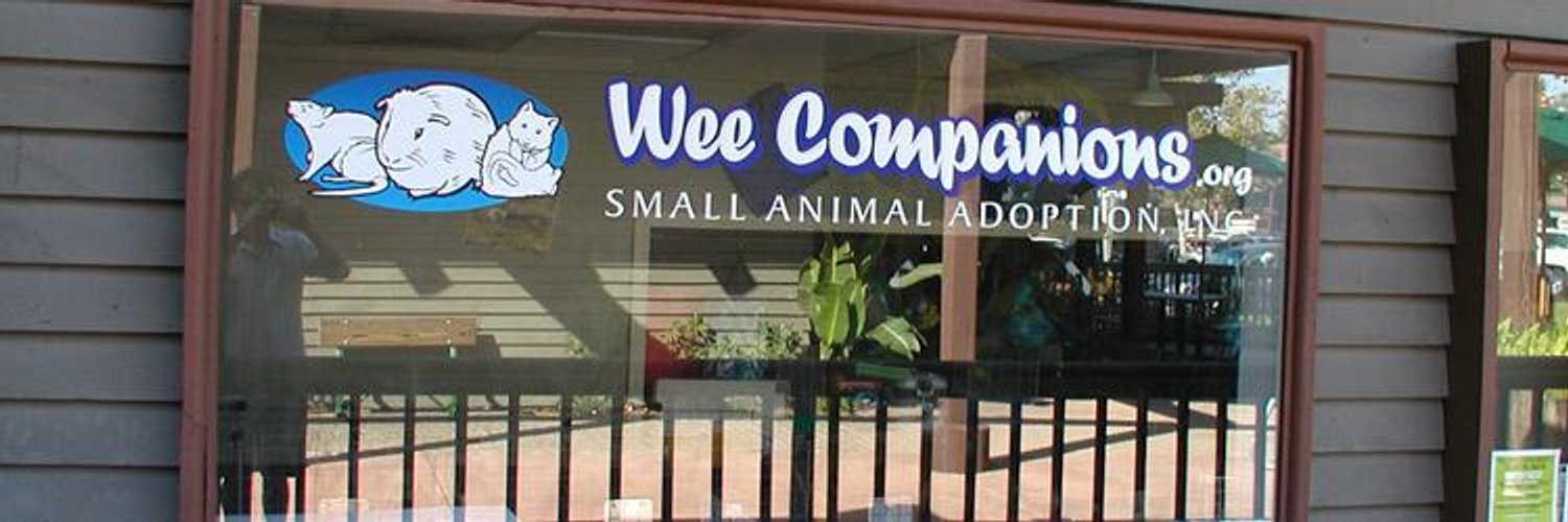 Wee Companions / Twitter