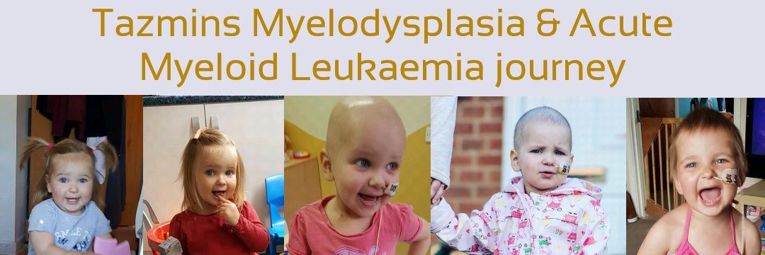 Tazmins fight AML 🎗 banner