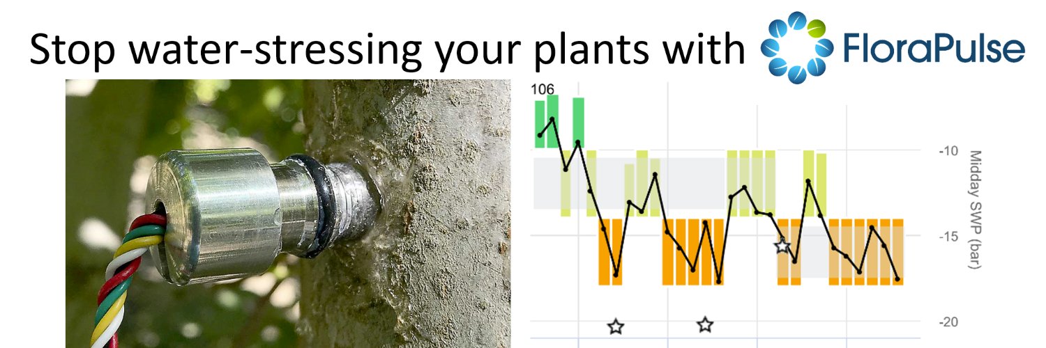 Michael Santiago banner