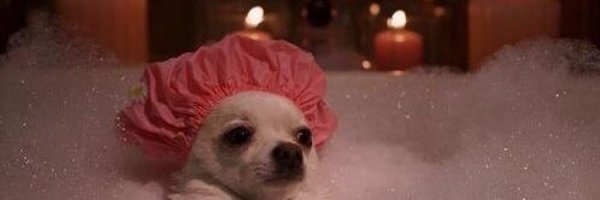 maxsaystufflike Profile Banner