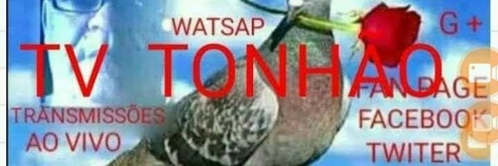 tonhaonp's profile banner image