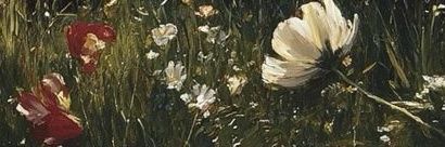 محمد معتز 🌵 banner