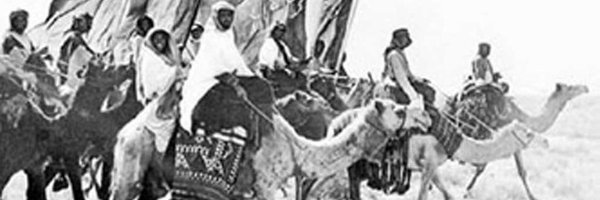 RASHEDALODENI Profile Banner